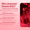 Liposomal Vitamin B12 500 mcg with Methyl Folate 400 mcg & Vitamin B6 – Advanced Liposomal Technology for Superior Absorption – Supports Energy, Brain & Nerve Health, Immunity & Red Blood Cell Formation – For Men & Women – 30 Tablets