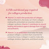 SheNeed Plant Based Collagen Builder Powder with Advanced Anti-Aging Formula & 8+ Nutrients - 300gm